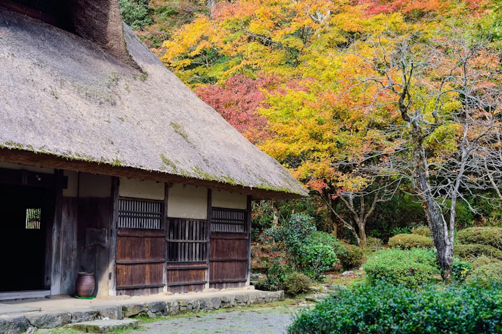 スズメ,歴史,日本人,飼育,季語