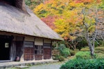 スズメ,歴史,日本人,飼育,季語