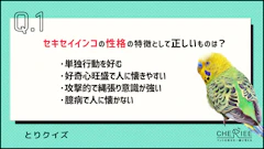 記事カテゴリ第2位