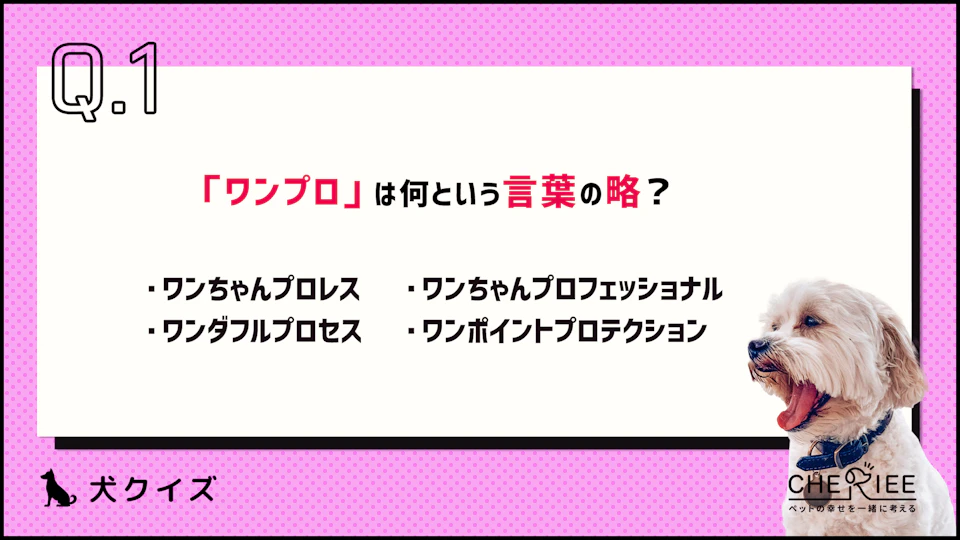 【クイズ】犬の「ワンプロ」、正しく理解できてる?