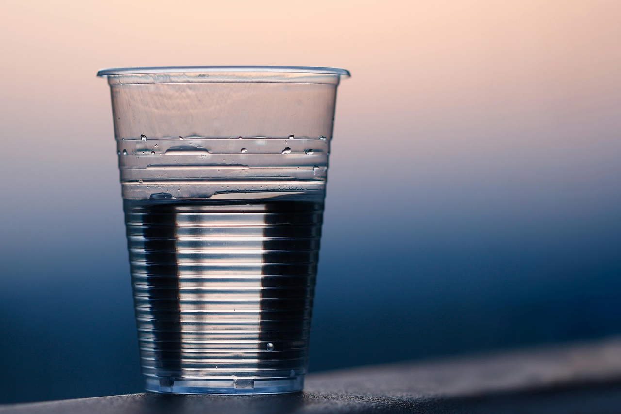 モルモットの水はどう与える？飲水量の目安や注意点を解説