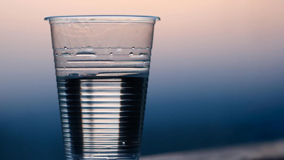 モルモットの水はどう与える?飲水量の目安や注意点を解説