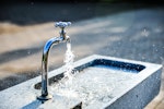 水,モルモット,給水ボトル,飲水量,健康