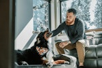 犬派,猫派,年収,傾向,調査,歴史上の人物