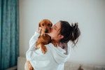 犬,分離不安,留守番,環境,対策