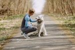 犬,サイン,挨拶,初対面,NG行動