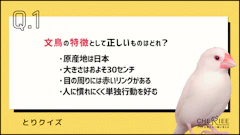 記事カテゴリ第1位