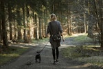 犬,におい,散歩,対処法,理由