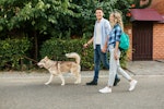 犬,散歩,出会い,挨拶,恋愛,人間関係