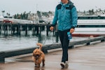 犬,散歩コース,変える,メリット,性格