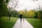 犬,散歩コース,変える,メリット,性格