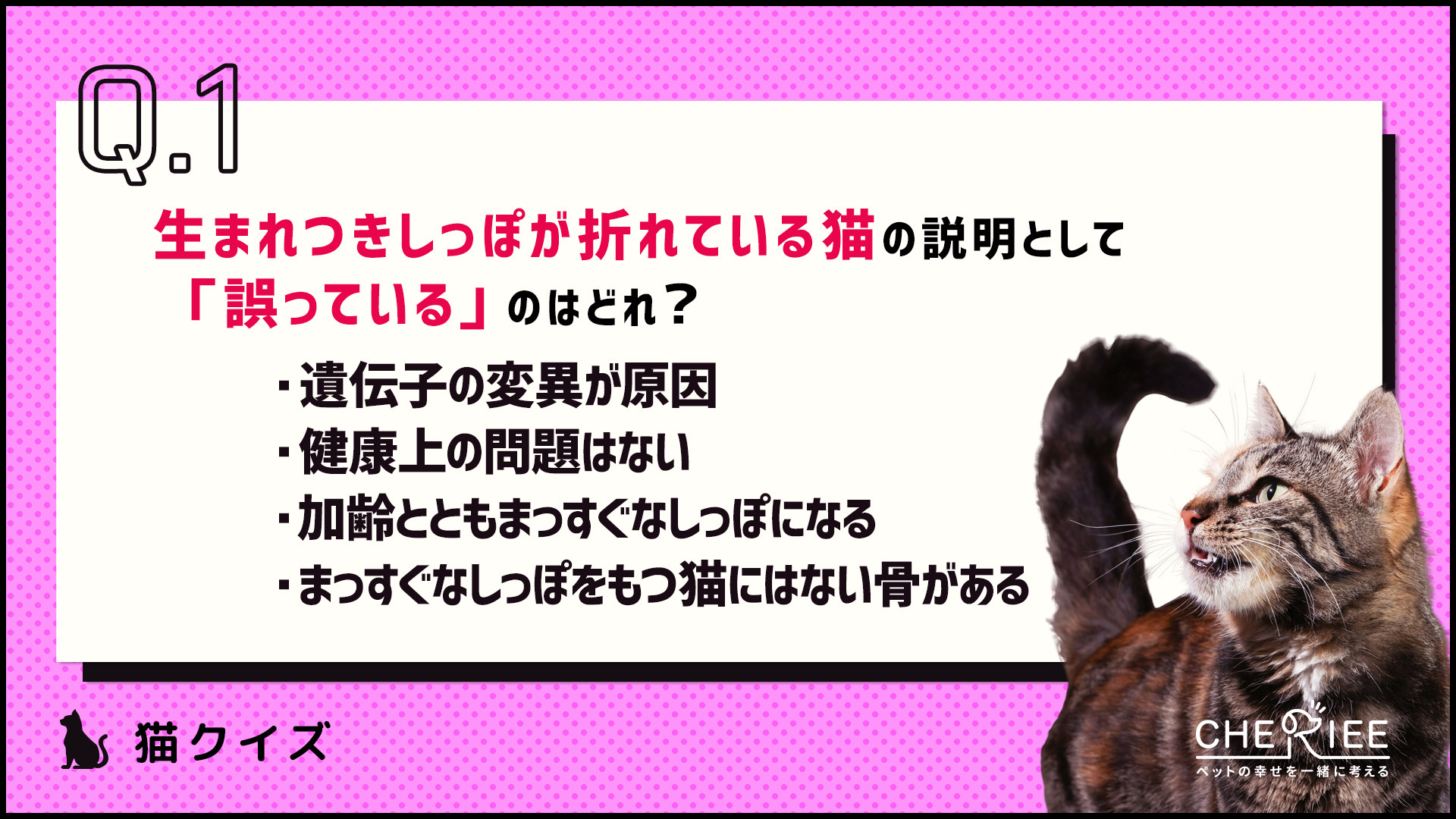 【クイズ】猫のしっぽが折れ曲がっている？その理由とは