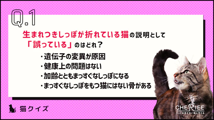 【クイズ】猫のしっぽが折れ曲がっている?その理由とはのアイキャッチ画像