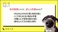 おすすめ記事1