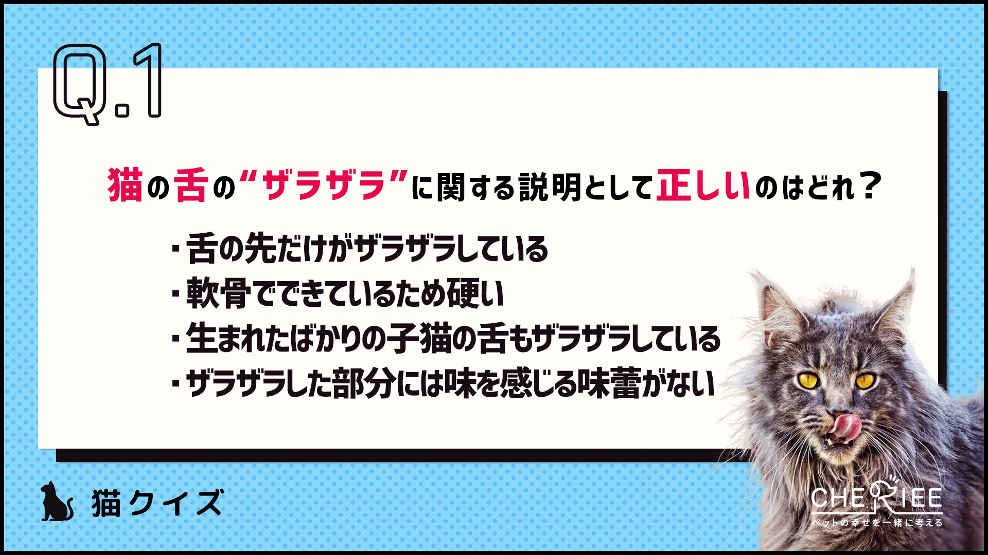 【クイズ】猫の舌がザラザラしている理由って知ってる？