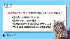 記事カテゴリ第1位
