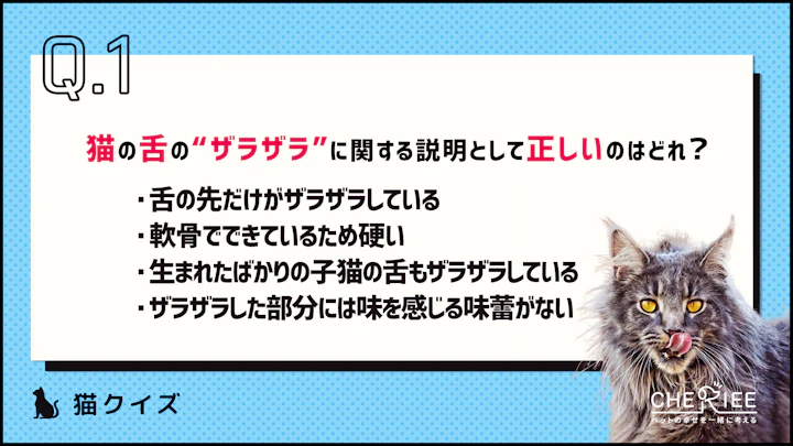【クイズ】猫の舌がザラザラしている理由って知ってる?のアイキャッチ画像
