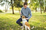 犬,しつけ教室,飼い主,問題行動,基準
