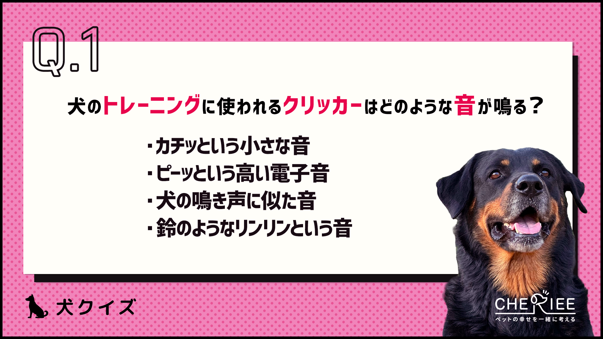 【クイズ】愛犬のトレーニングに使うクリッカーとは？