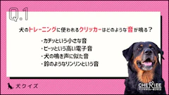 おすすめ記事1