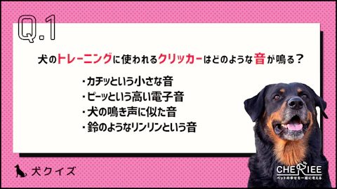 【クイズ】愛犬のトレーニングに使うクリッカーとは？のアイキャッチ画像