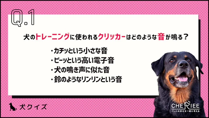 【クイズ】愛犬のトレーニングに使うクリッカーとは？のアイキャッチ画像