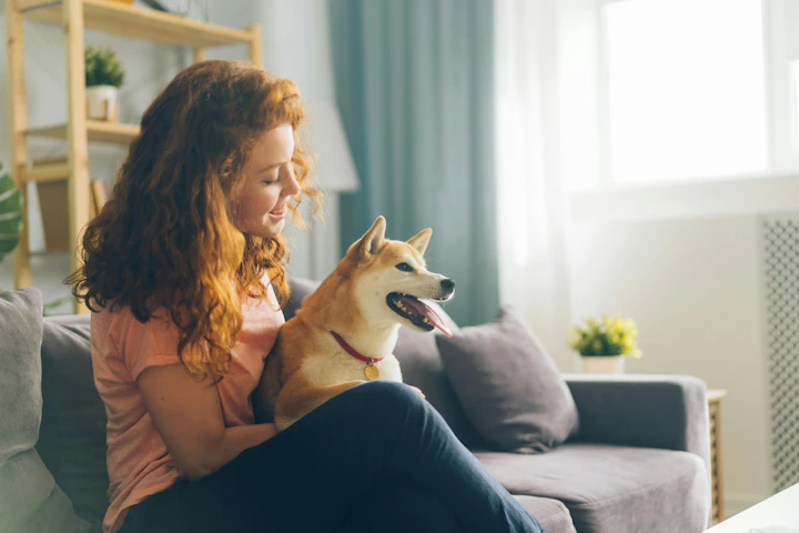 犬,知育玩具,留守番,おやつ,コング