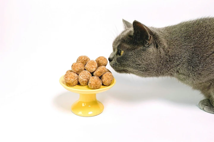 猫,おやつ,ご褒美,タイミング,栄養