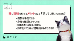 おすすめ記事1
