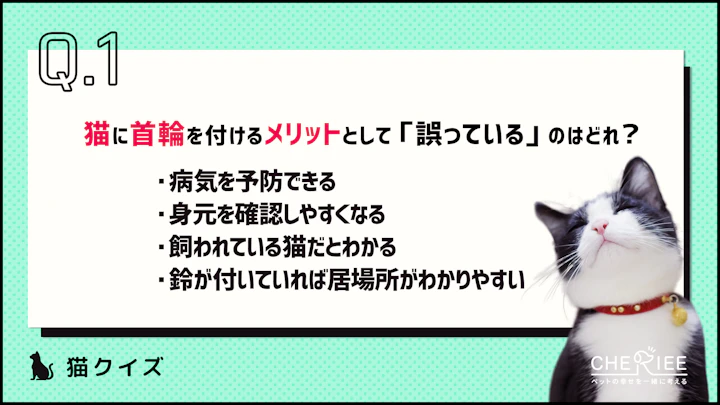 【クイズ】猫に首輪はつけるべき?メリットとデメリットとはのアイキャッチ画像