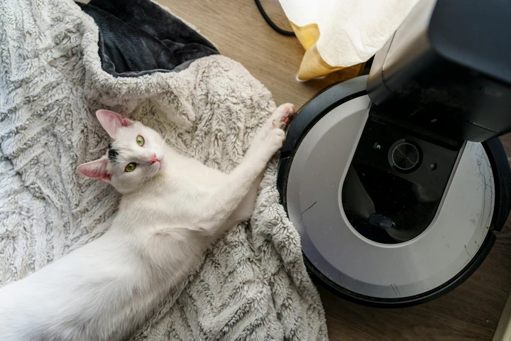 猫,ロボット掃除機,選び方,使い方,トラブル