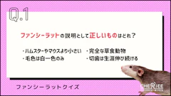 おすすめ記事1