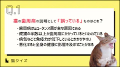 おすすめ記事1