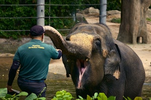 動物園,入場料,寄付,運営,サポーター