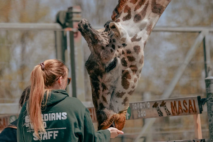 動物園,入場料,寄付,運営,サポーター