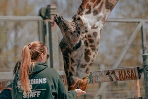 動物園,入場料,寄付,運営,サポーター