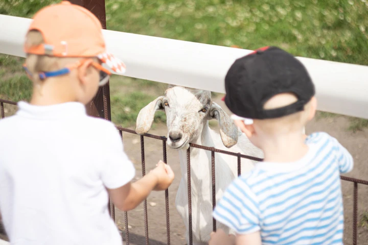 動物園,入場料,寄付,運営,サポーター