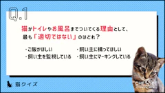 記事カテゴリ第1位