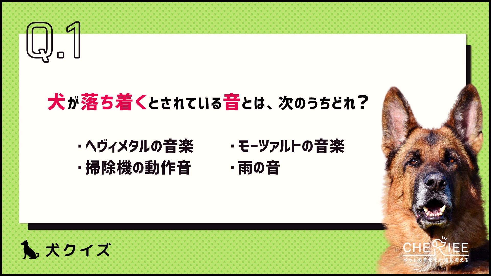 【クイズ】思わず誰かに話したくなる！楽しい犬の雑学④