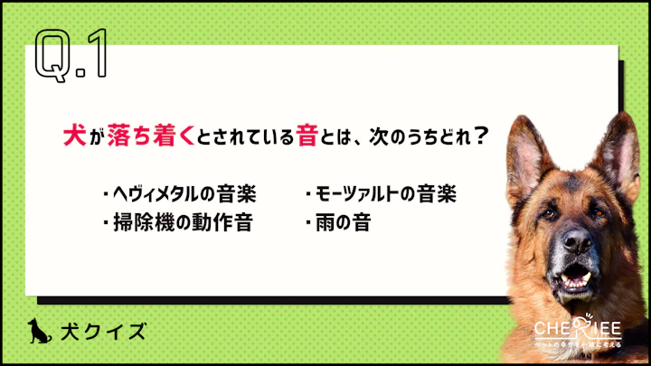 【クイズ】思わず誰かに話したくなる!楽しい犬の雑学④のアイキャッチ画像