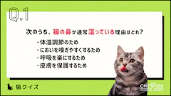 記事カテゴリ第1位