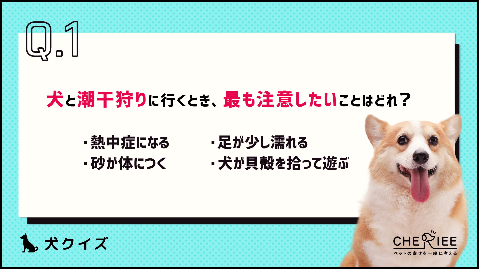 【クイズ】愛犬と一緒に潮干狩りを楽しめる？