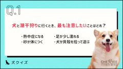 おすすめ記事1
