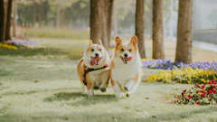 記事カテゴリ第5位