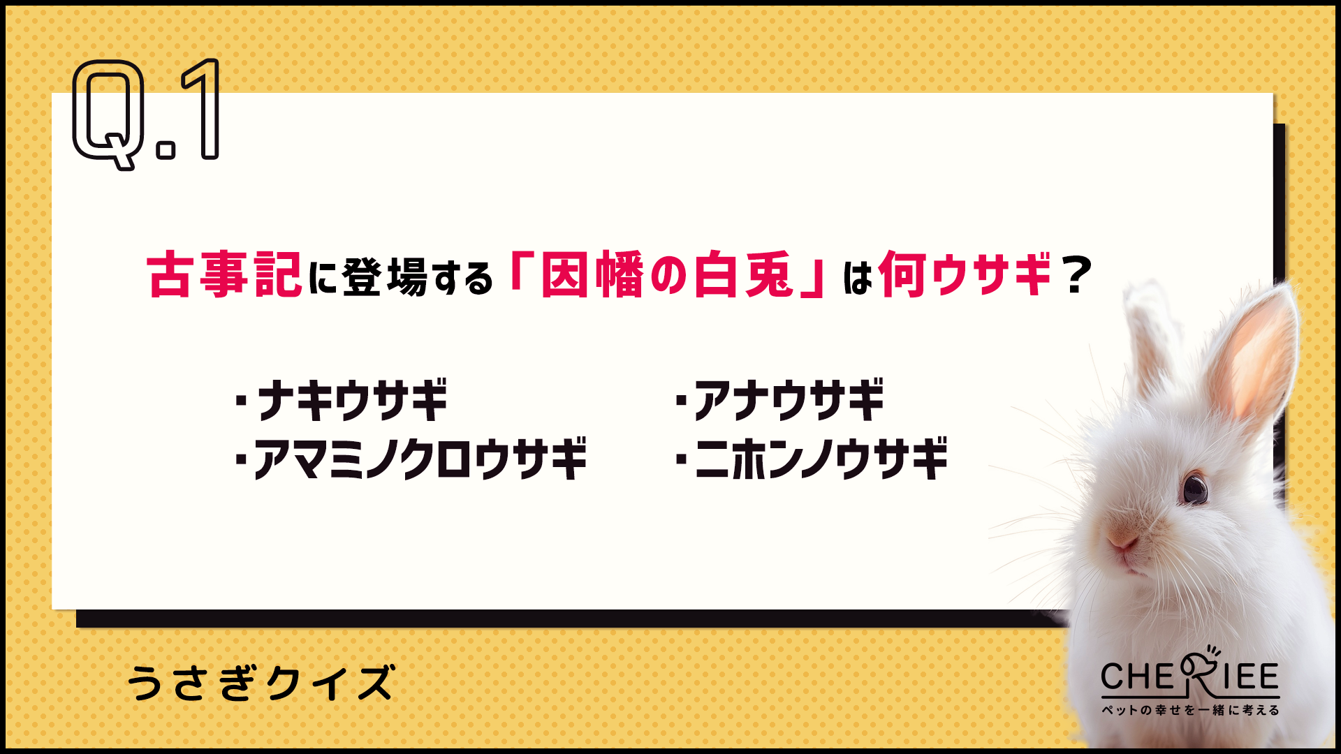 【クイズ】因幡の白兎は何ウサギ？意外と知らないウサギの歴史