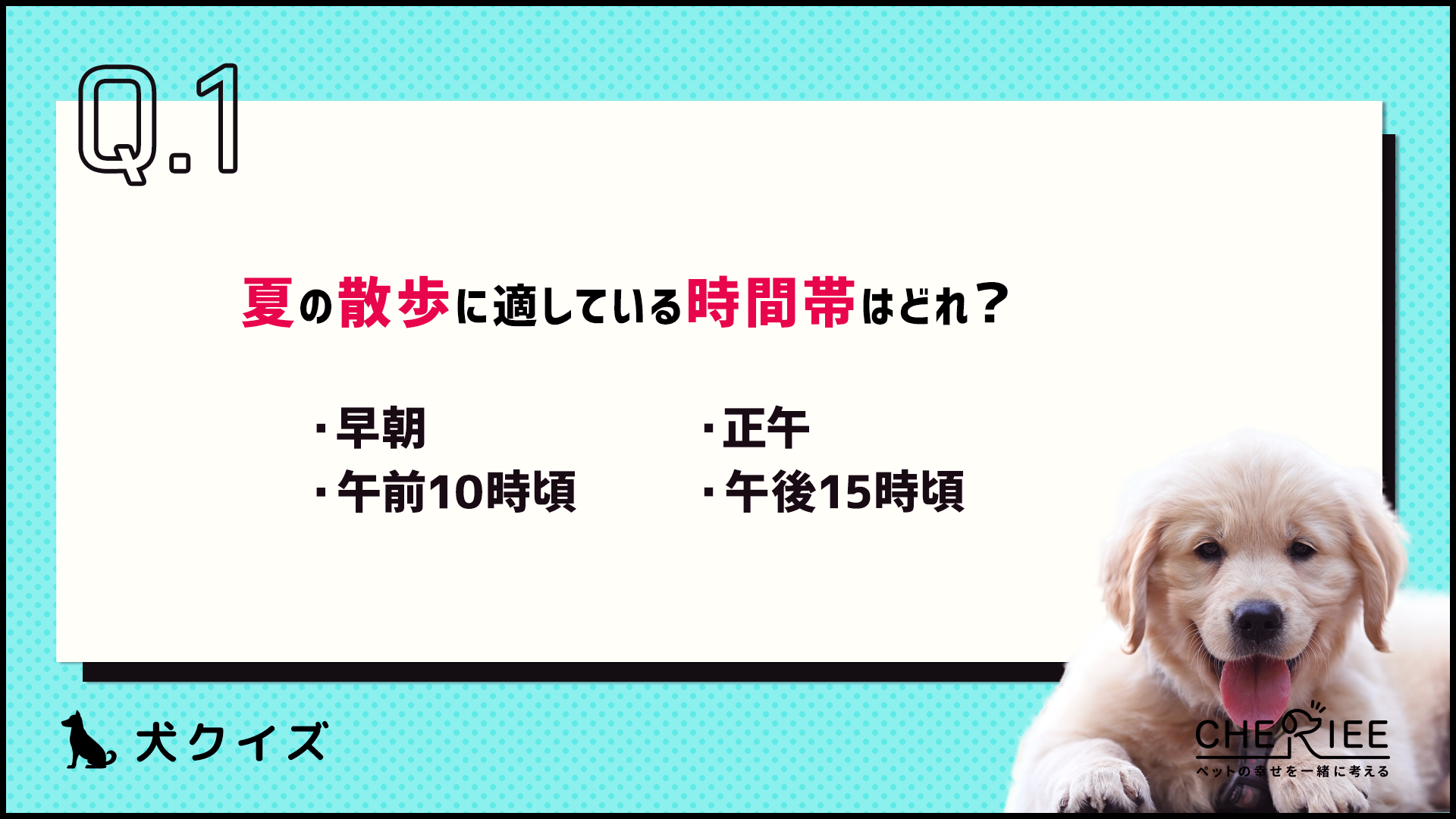 【クイズ】意識できてる？暑い夏の犬との過ごし方を再確認しよう
