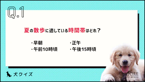 【クイズ】意識できてる？暑い夏の犬との過ごし方を再確認しようのアイキャッチ画像