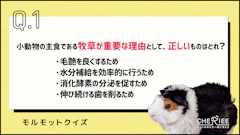 記事カテゴリ第1位