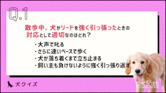 記事カテゴリ第2位