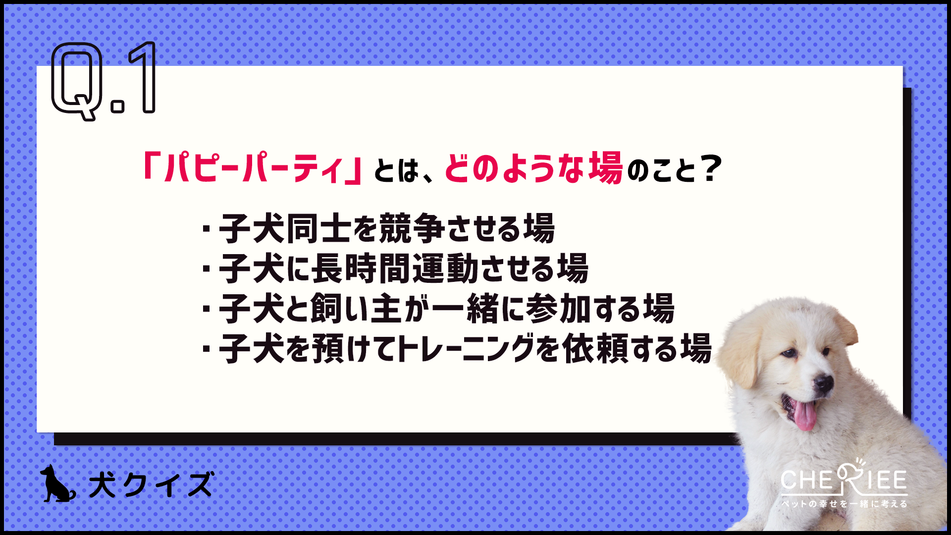 【クイズ】パピーパーティってどんなイベント？